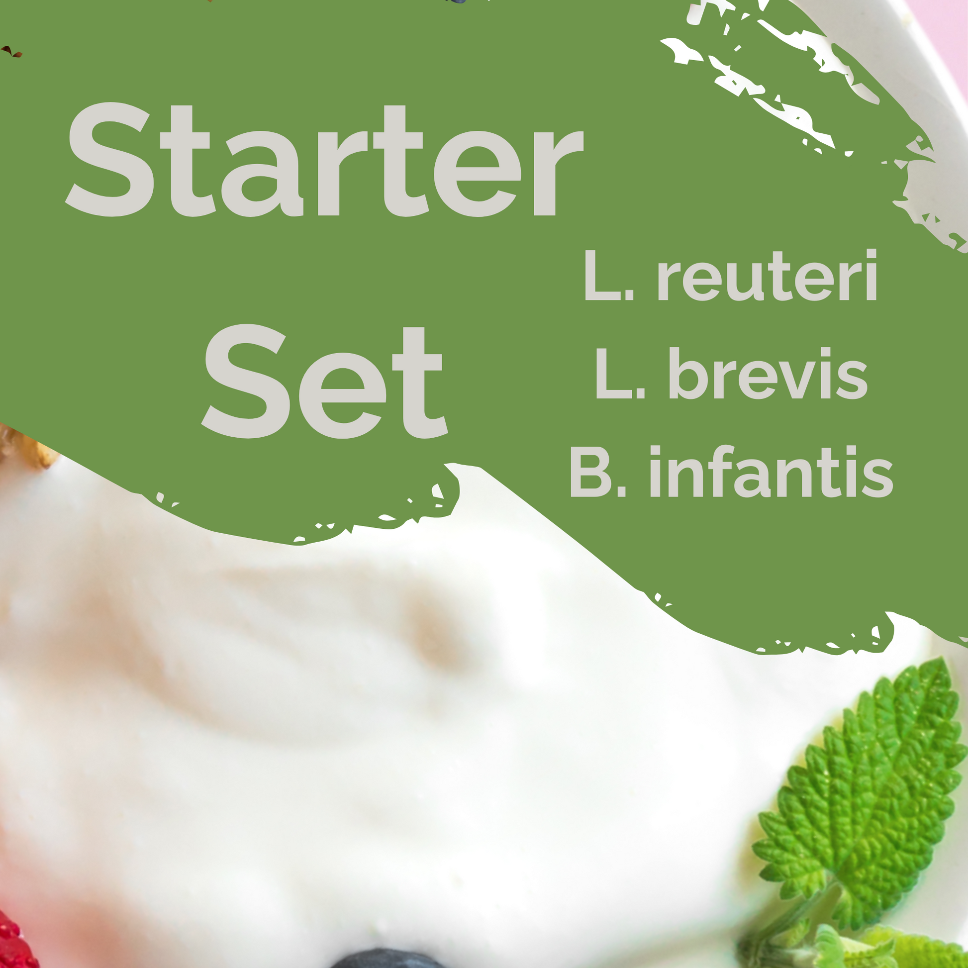 Starter-Set „Neuro Gut" | L. reuteri, L. brevis, B. infantis-Joghurt