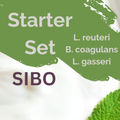 L. reuteri + B. coagulans + L. gasseri | Joghurt Starter Set | SIBO | Starterkulturen | Packung mit 3