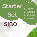 L. reuteri + B. subtilis + L. gasseri + B. infantis | Joghurt Starter Set | SIBO Stabil | Starterkulturen | Packung mit 3