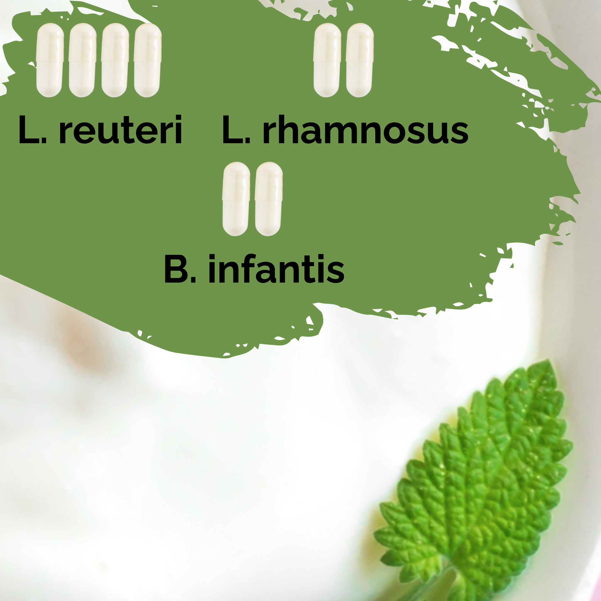 L. reuteri + L. rhamnosus + B. infantis | Joghurt Starter Set | HappyGut | Starterkulturen | Packung mit 3
