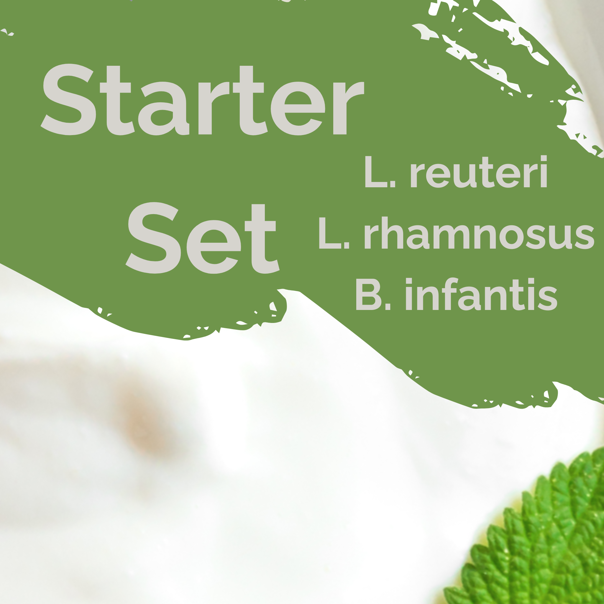 L. reuteri + L. rhamnosus + B. infantis | Joghurt Starter Set | Glücklicher Darm | Starterkulturen | Packung mit 3