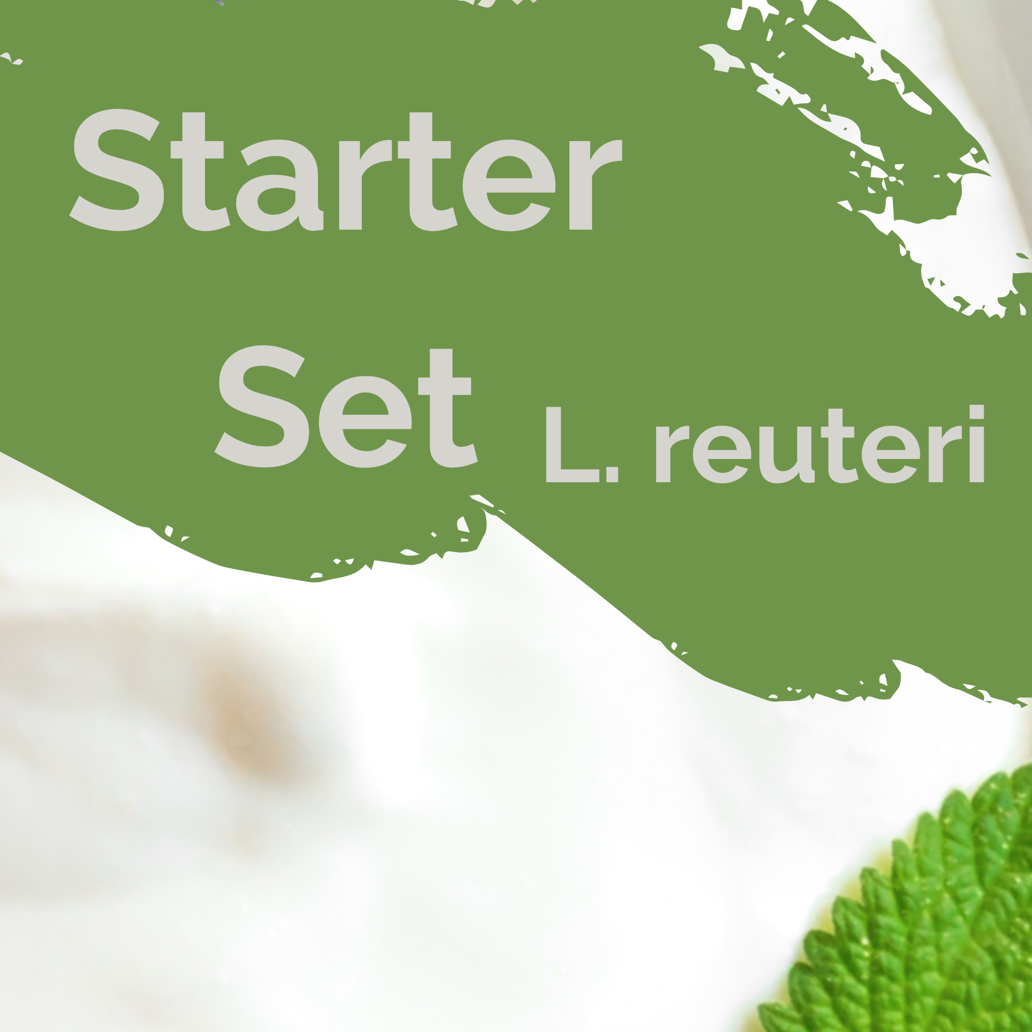 L. reuteri | Joghurt Starter Set | Starterkulturen | Packung mit 3