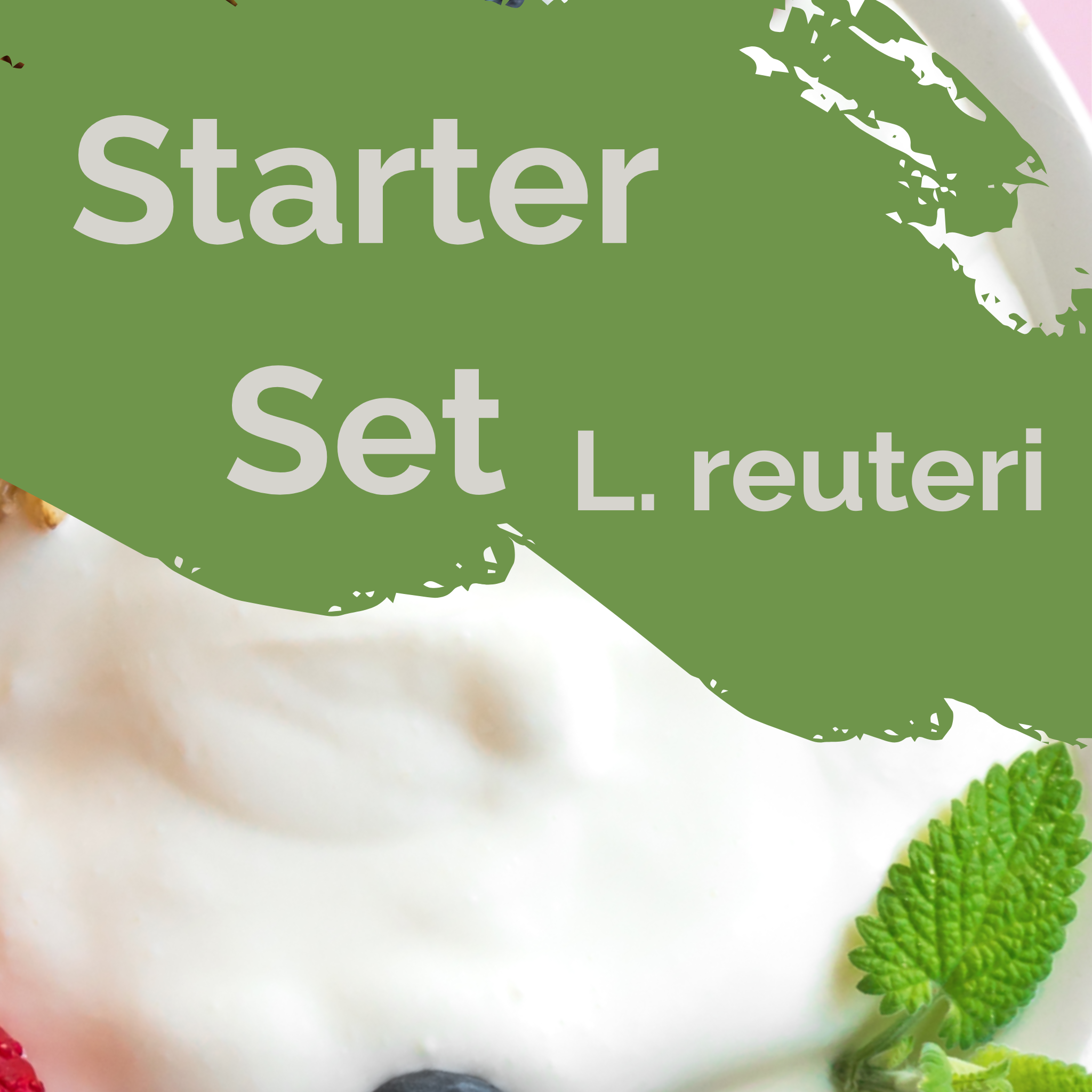 L. reuteri | Joghurt Starter Set | Starterkulturen | Packung mit 3