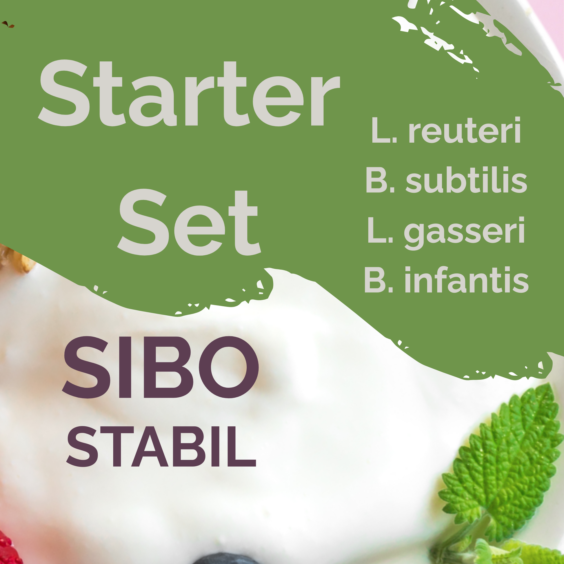 Starter-Set "SIBO Stabil" | L. reuteri, L. gasseri, B. subtilis, B. infantis-Joghurt